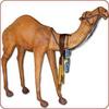 Leather Camel